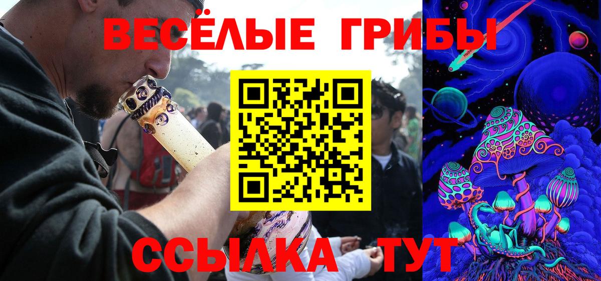Галлюциногенные грибы MAGIC MUSHROOMS Углич