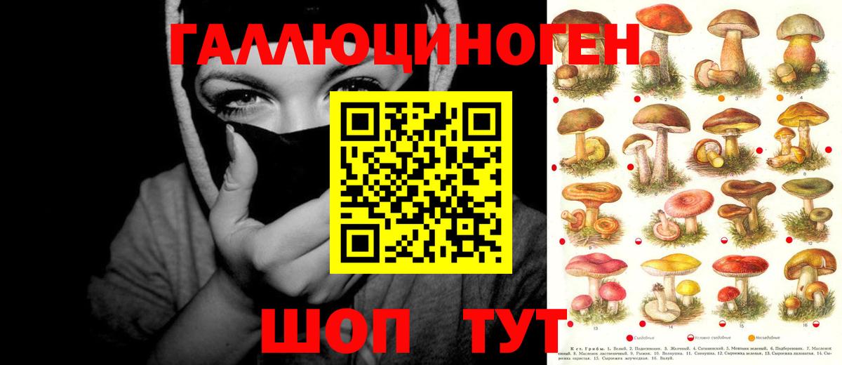 как найти закладки  Вход с VPN  Псилоцибиновые грибы Magic Shrooms  Углич  Псилоцибиновые грибы MAGIC MUSHROOMS 